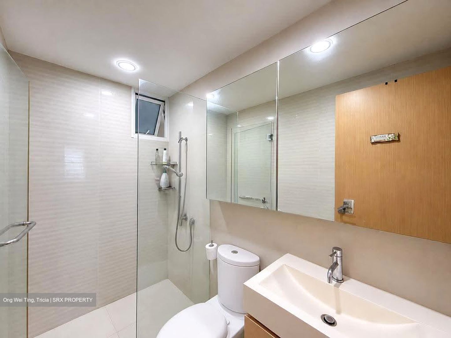The Tampines Trilliant (D18), Condominium #633404591